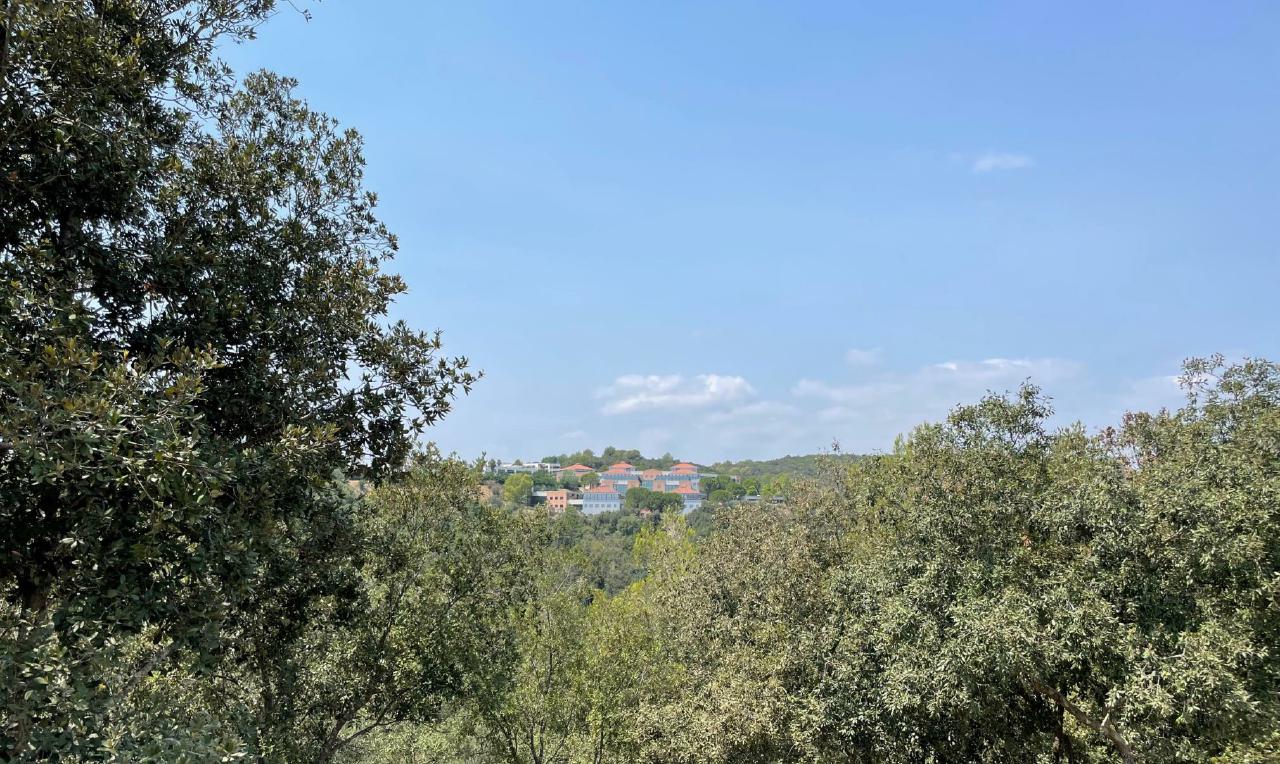 Bureau Biot 1656m² Location bureau Biot Alpes-Maritimes OLBUR2207722 1